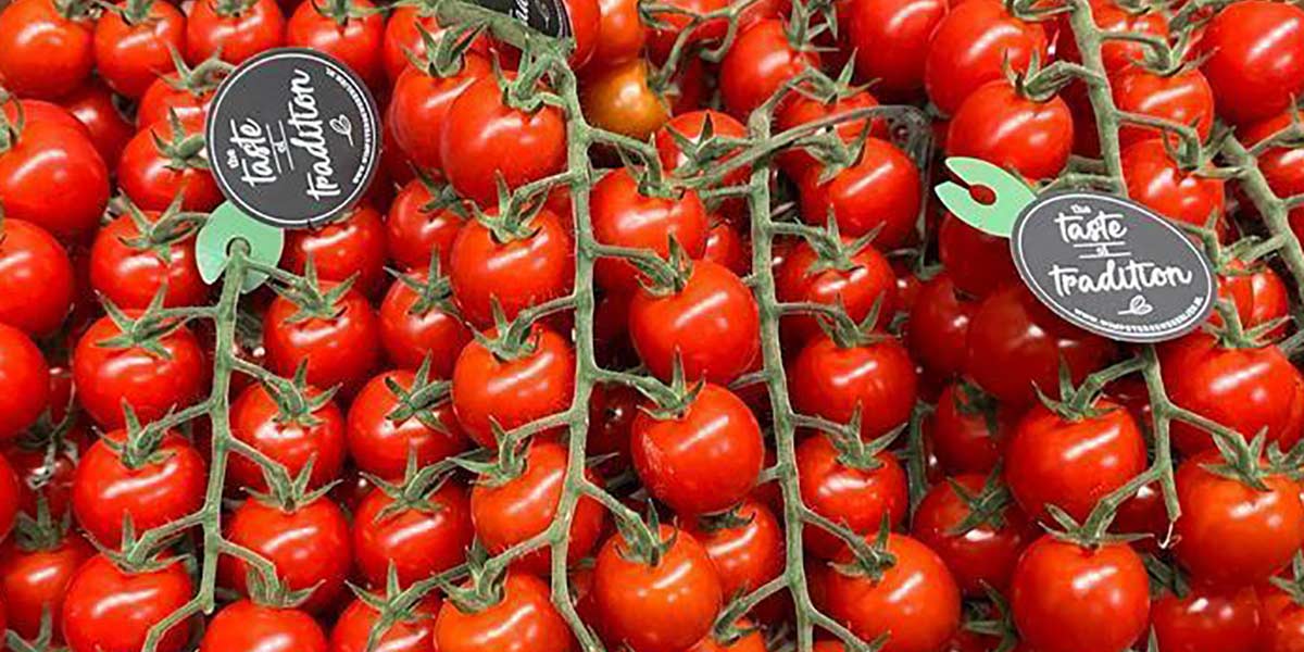 Pomodoro, quotazioni record per il datterino